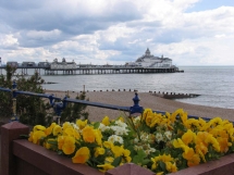 8Brighton_DM