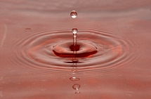 Droplet_TR