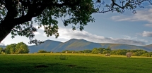 Sheep-in-Lakes_TR